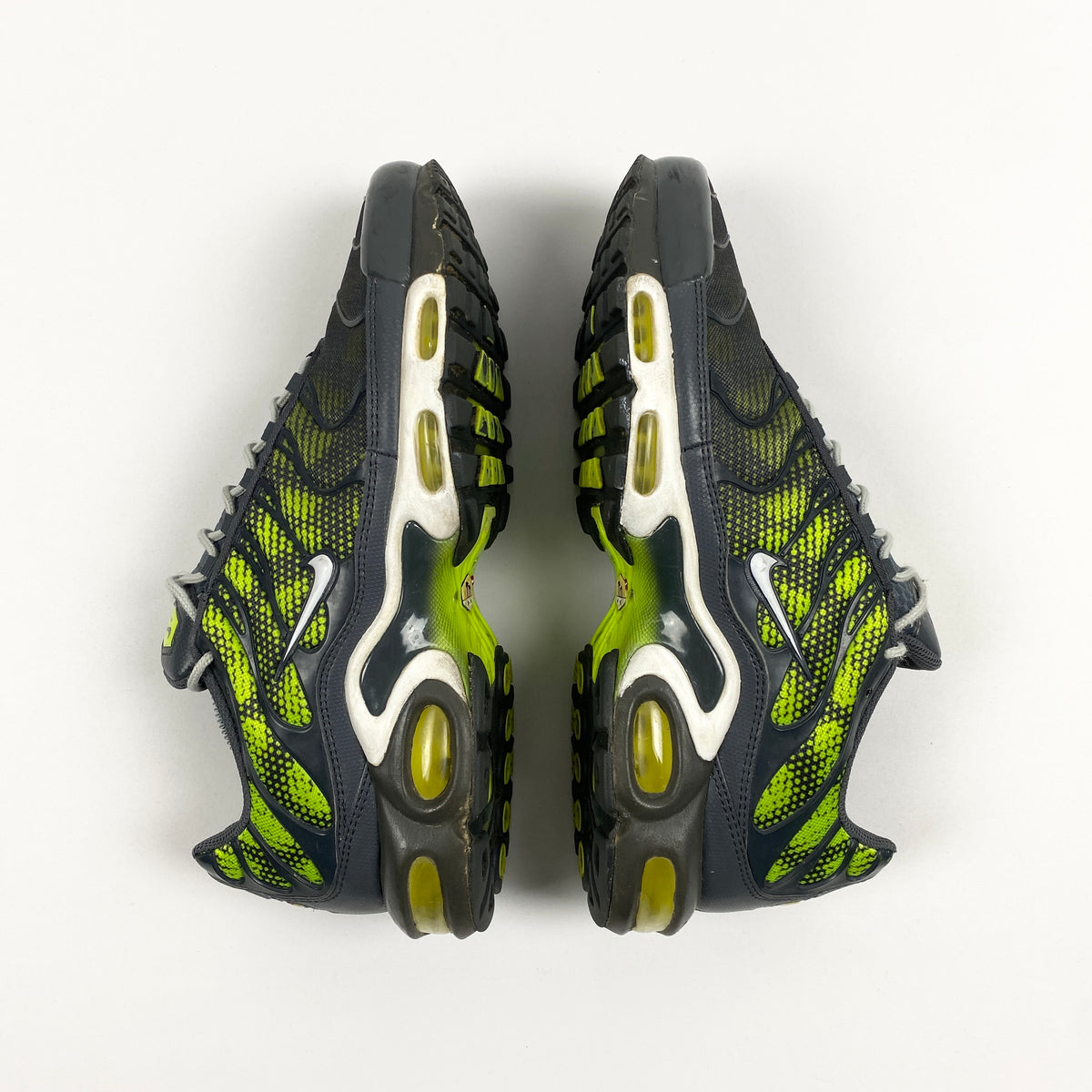 Nike Air Max Plus 'Amphibian' (2014)