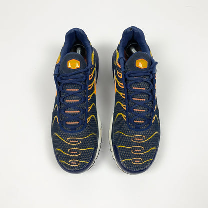 Nike Air Max Plus Tn 'Blue Void' (2018)