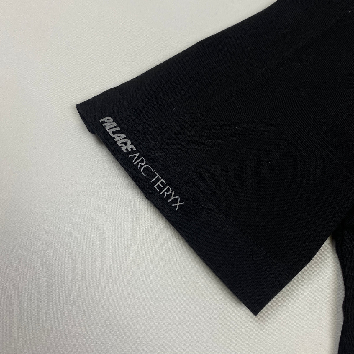 PALACE x ARC'TERYX T-Shirt