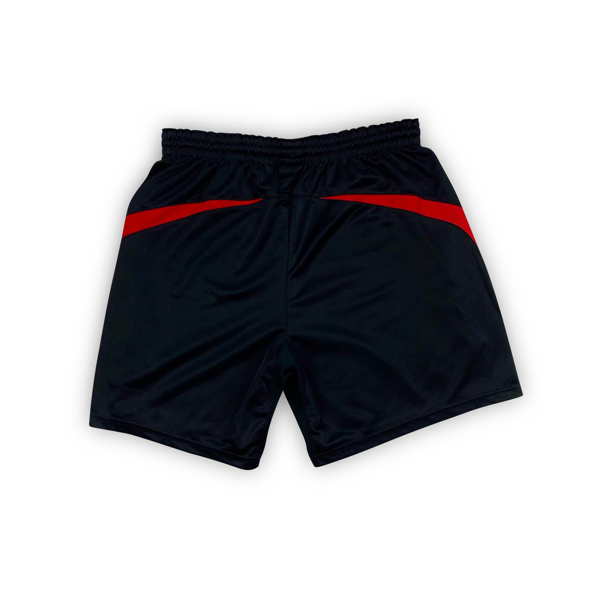 Vintage NIKE nylon shorts