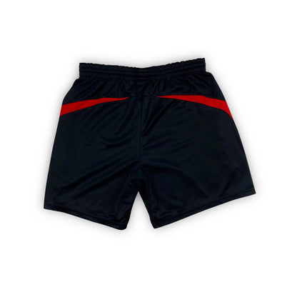 Vintage NIKE nylon shorts