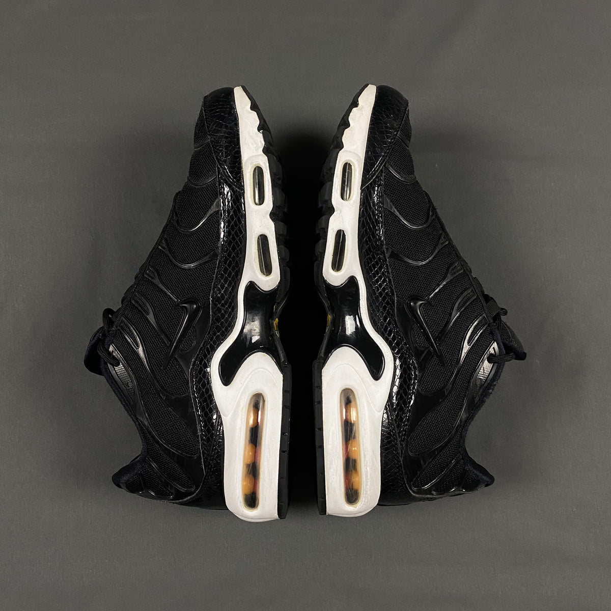 Nike Air Max Plus Tn (2017)