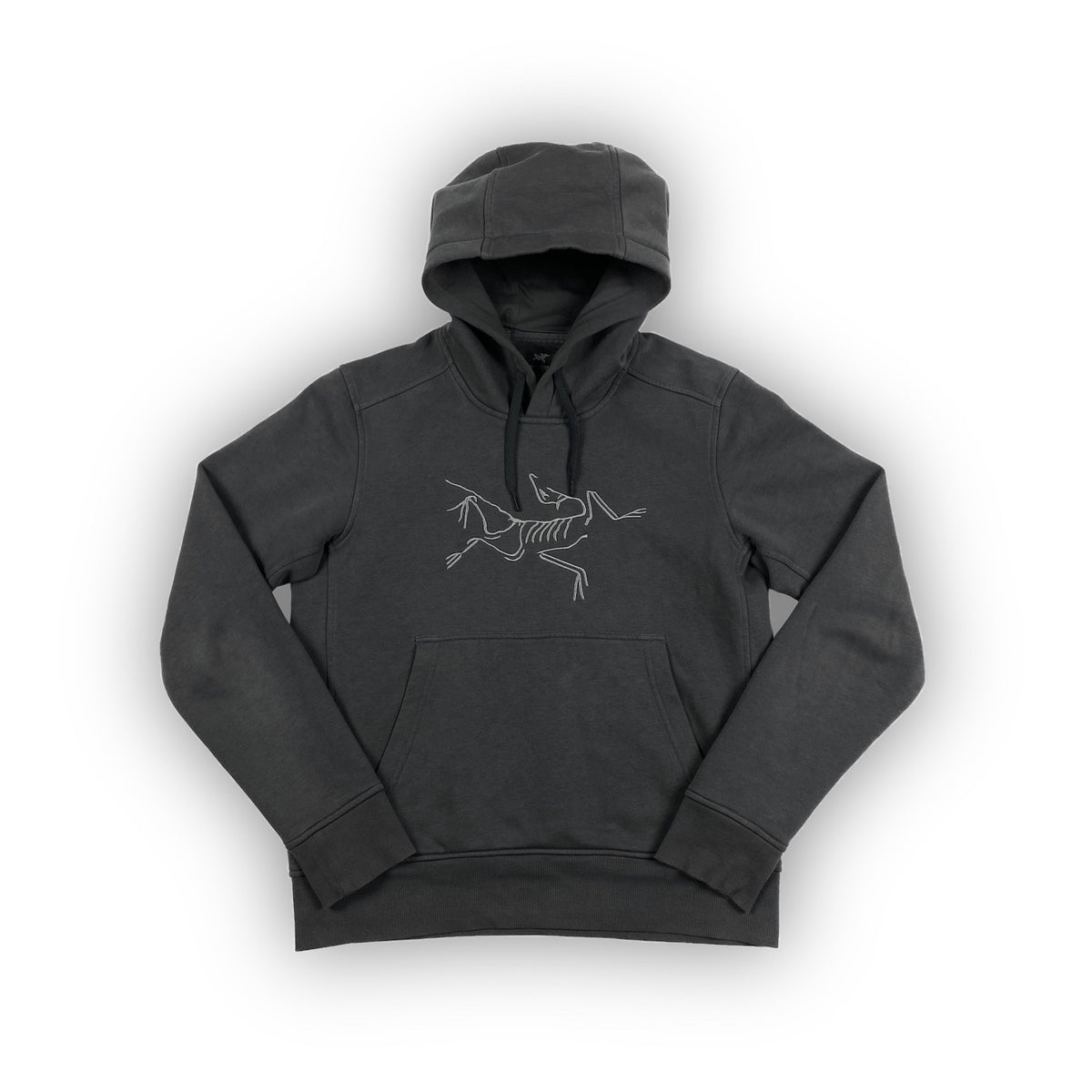 ARC'TERYX Logo Hoodie