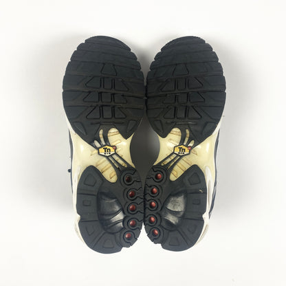 Nike Air Max Plus Tn "Black Fade"