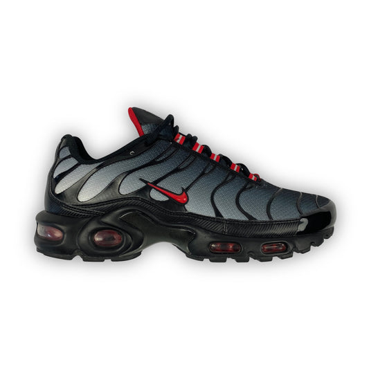 NIKE Air Max Plus Tn "Gradient