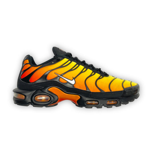 Nike Air Max Plus Tn 'Tiger' (2018)