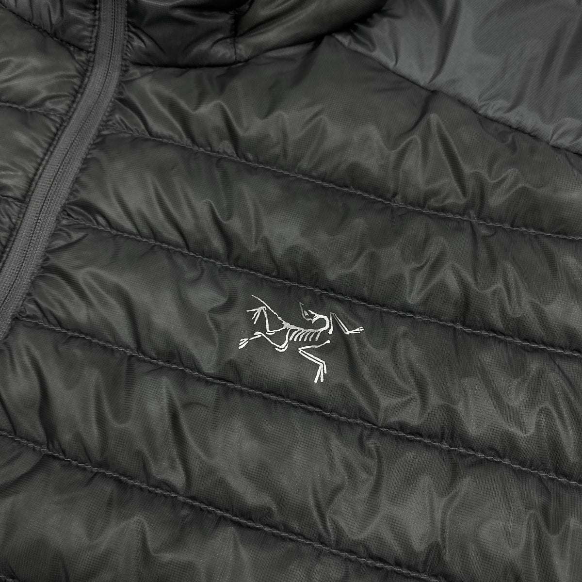 ARC'TERYX Cerium SL Winterjacke