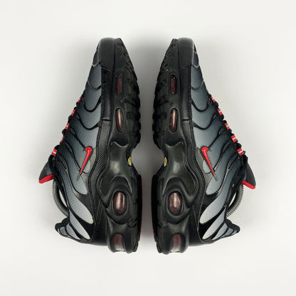 NIKE Air Max Plus Tn "Gradient
