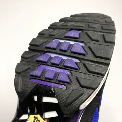 NIKE Air Max Plus Tn OG 'Voltage Purple' (2018)