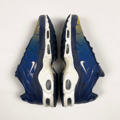 Nike Air Max Plus Tn 'Gradient' (2018)