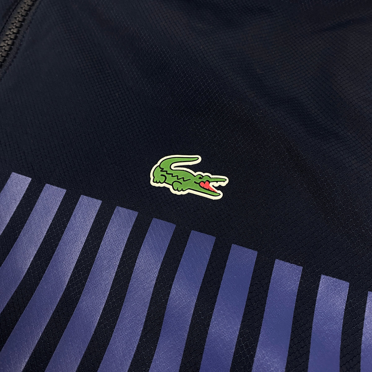 LACOSTE SPORT Tracksuit Anzug