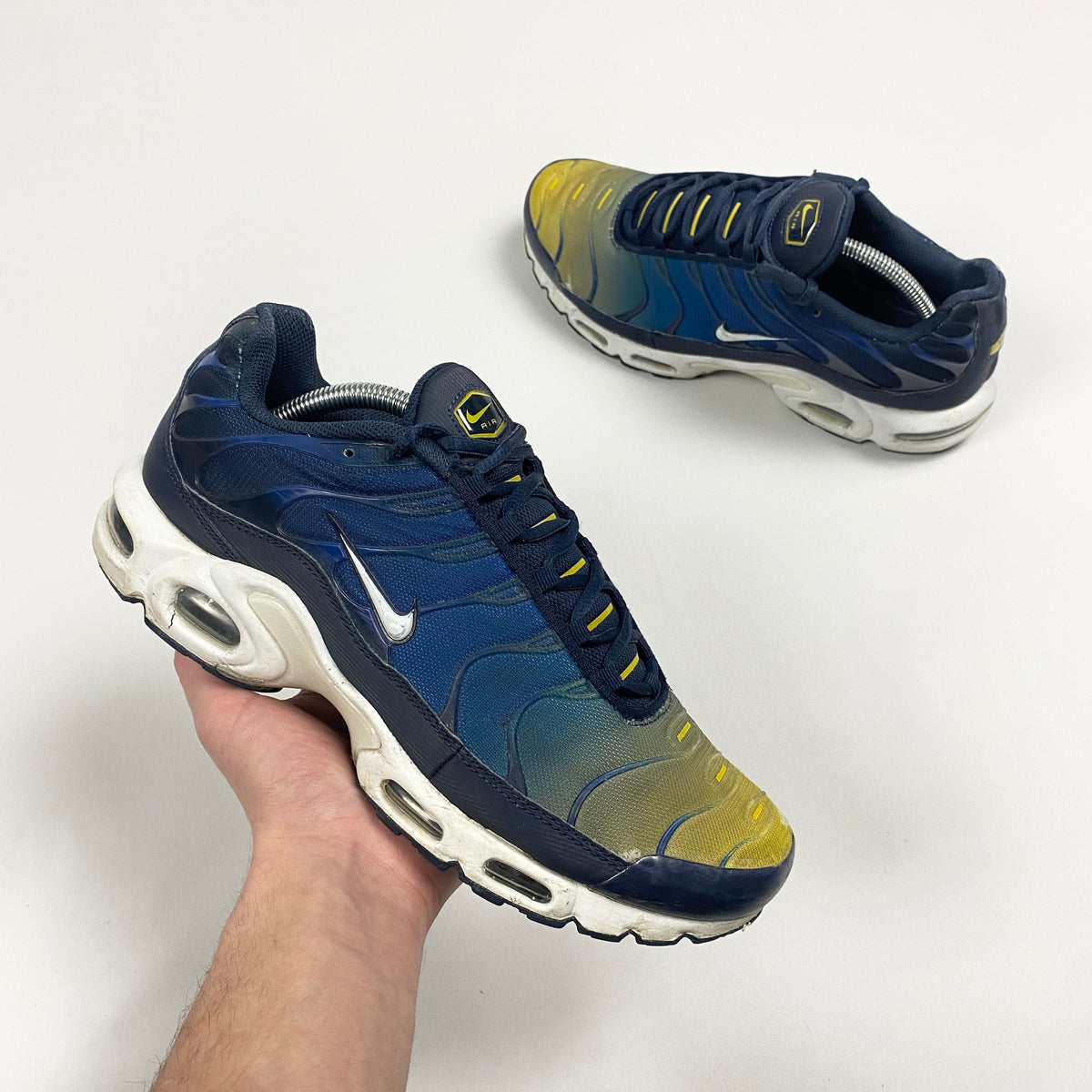 Nike Air Max Plus Tn 'Gradient' (2018)