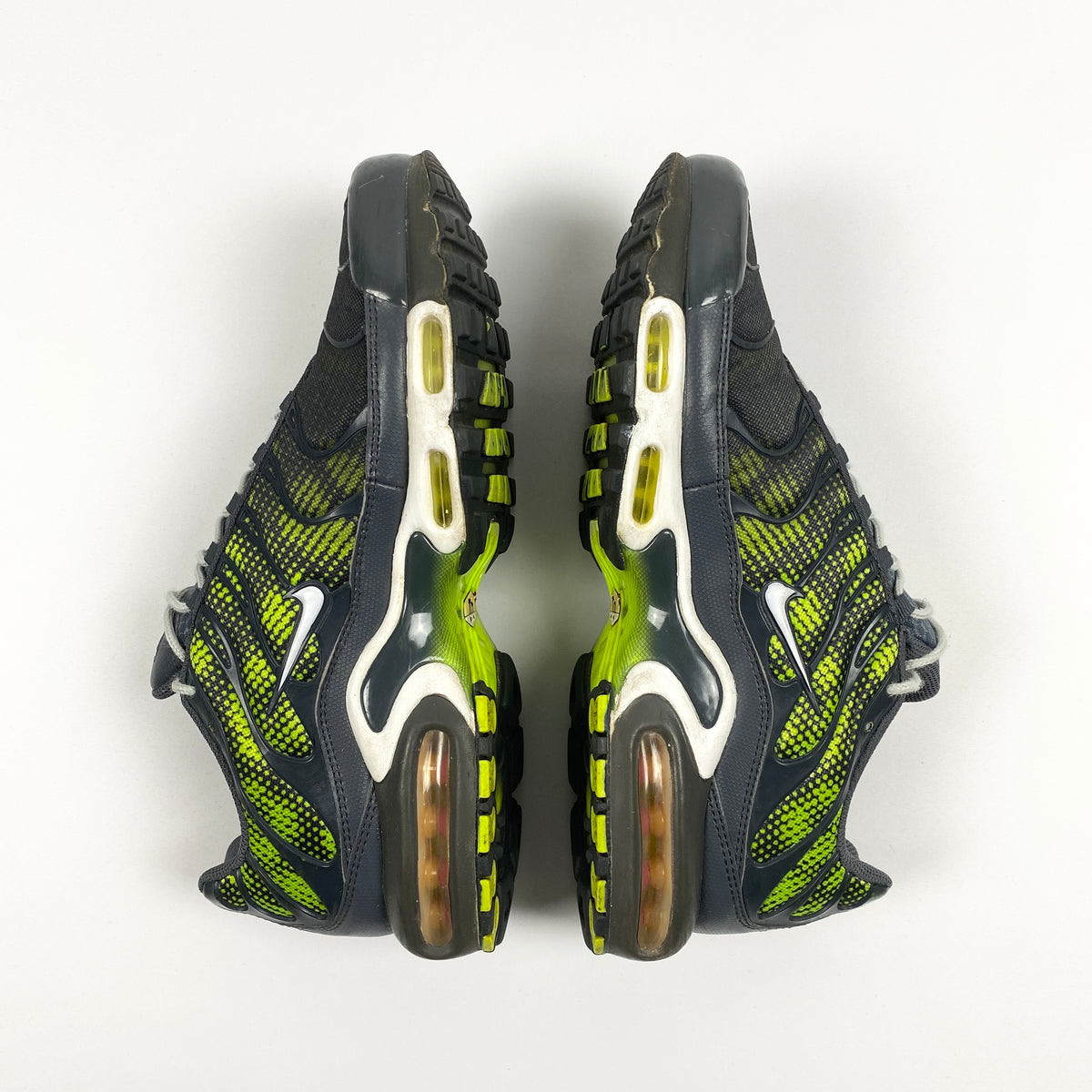 Nike Air Max Plus 'Amphibian' (2014)