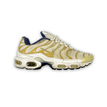 Vintage Nike Air Max Plus Tn (2007)
