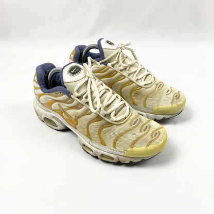 Vintage Nike Air Max Plus Tn (2007)