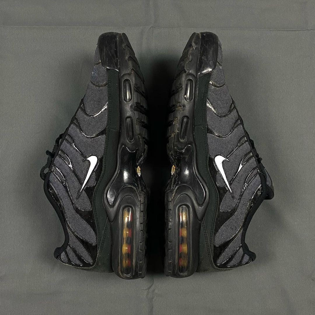 Nike Air Max Plus Tn "Breathe"
