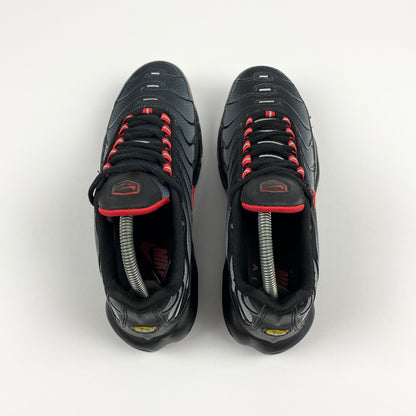 NIKE Air Max Plus Tn "Gradient