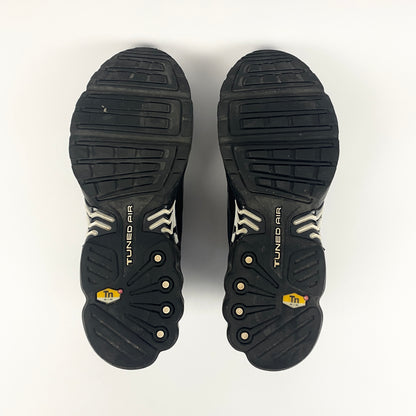 NIKE Air Max Plus Tn 3 OG (2021)