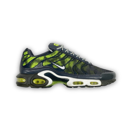Nike Air Max Plus 'Amphibian' (2014)