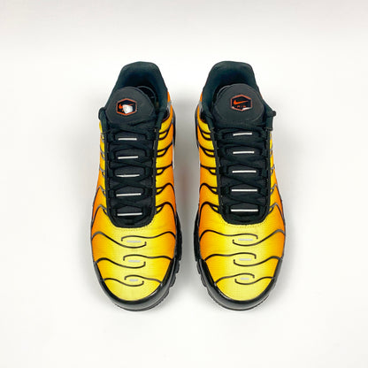 Nike Air Max Plus Tn 'Tiger' (2018)