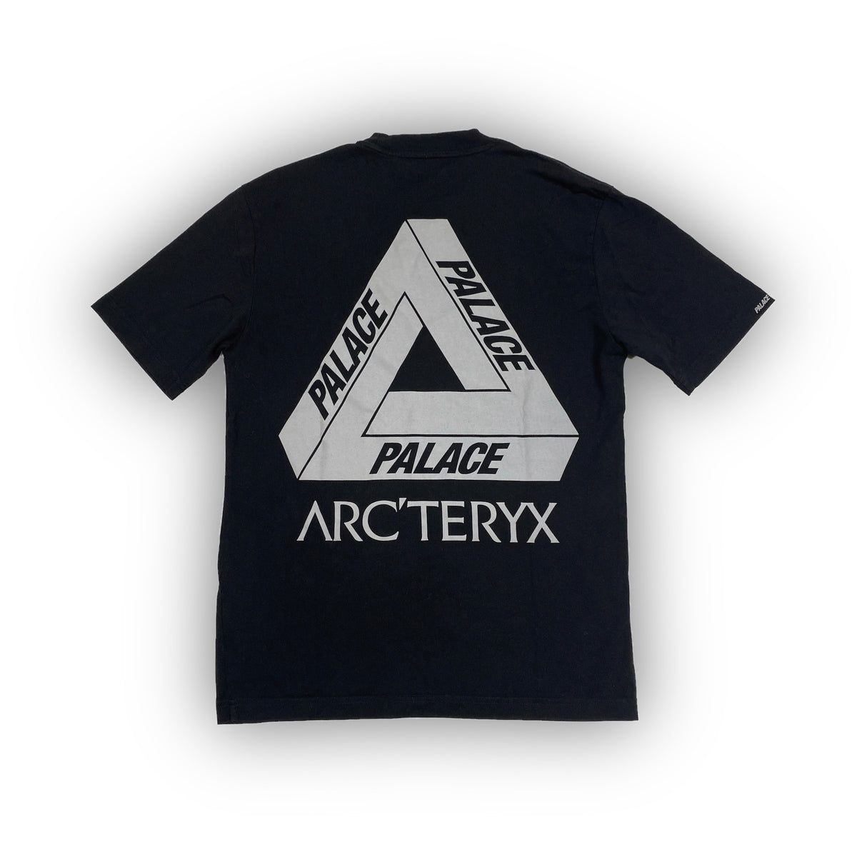PALACE x ARC'TERYX T-Shirt